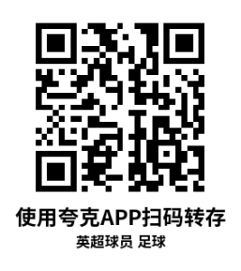 Oculus Quest 游戏《英超球员 足球》Premier League Player Football