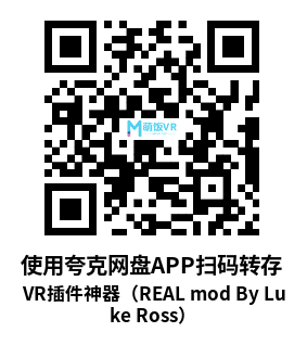 VR插件神器（REAL mod By Luke Ross）