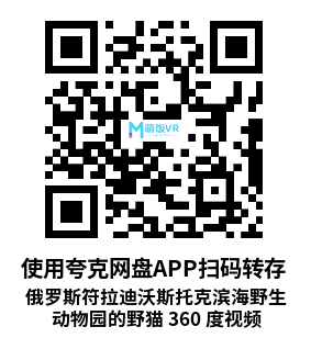 VR360° 2D 8K 俄罗斯符拉迪沃斯托克滨海野生动物园的野猫 360 度视频 8K Wild Cats in the Primorsky Safari Park, Vladivostok, Russia. 360 video in 16K. VR360° 2D 8K 俄罗斯符拉迪沃斯托克滨海野生动物园的野猫 360 度视频 8K Wild Cats in the Primorsky Safari Park, Vladivostok, Russia. 360 video in 16K.