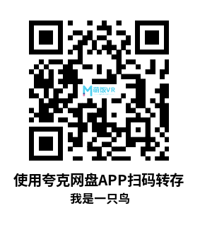 Meta Quest 游戏《我是一只鸟》I Am Bird