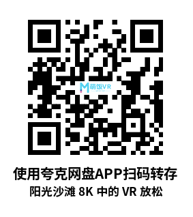 VR360° 2D 8K 阳光沙滩 8K 中的 VR 放松(Sunny Sandbank. VR Relaxation in 8K) VR360° 2D 8K 阳光沙滩 8K 中的 VR 放松(Sunny Sandbank. VR Relaxation in 8K)