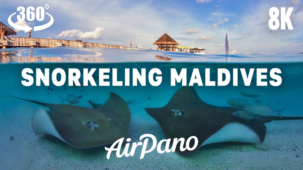VR360° 2D 8K 马尔代夫浮潜 8K 画质的 VR 放松体验 VR360° 2D 8K 马尔代夫浮潜 8K 画质的 VR 放松体验