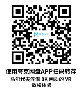 VR360° 2D 8K 马尔代夫浮潜 8K 画质的 VR 放松体验 VR360° 2D 8K 马尔代夫浮潜 8K 画质的 VR 放松体验