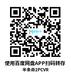 半条命2VR (Half-Life 2 VR)