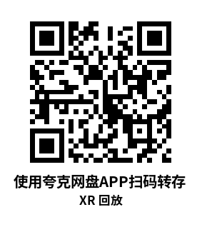 Meta Quest 游戏《XR 回放》XR Replay